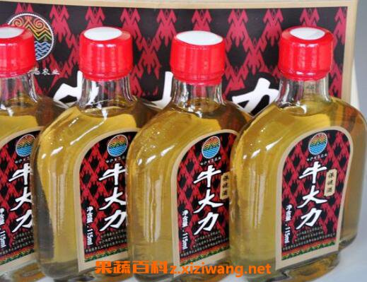 牛大力酒的功效与作用