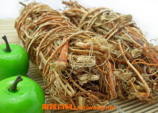 五爪毛桃根的功效与作用