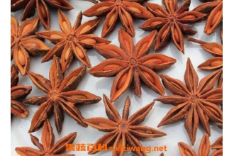 八角茴香的功效与作用及食用方法