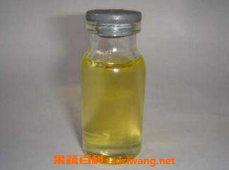 肉桂油的功效与作用