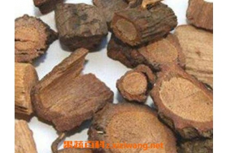黑老虎根的功效与作用