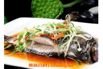 青石斑鱼好吃吗 青石斑鱼的做法