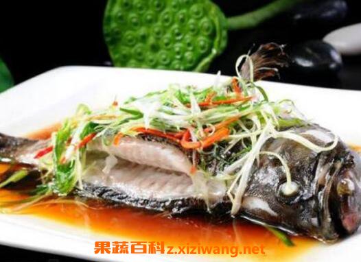 青石斑鱼好吃吗 青石斑鱼的做法