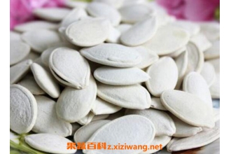白瓜子的功效与作用
