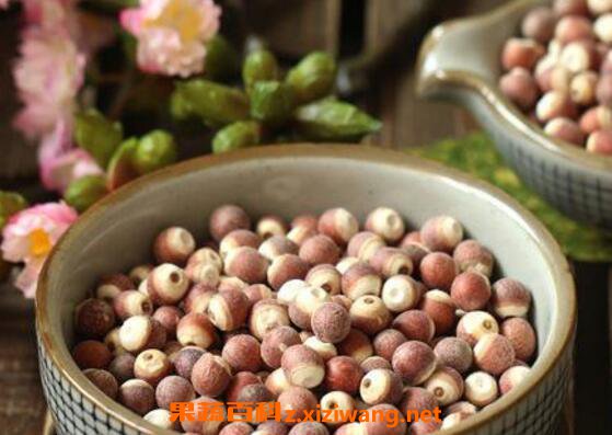芡米和芡实有什么区别 芡米怎么吃好