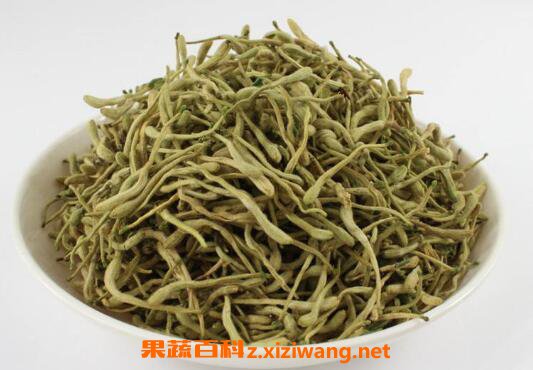 金银花可以天天喝吗 金银花长期泡水喝好不好