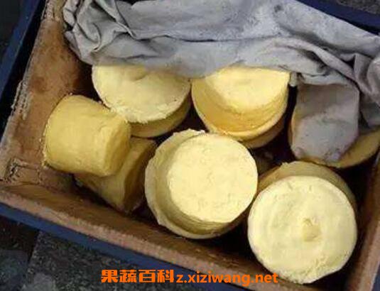 酥油是什么 酥油的功效与作用及禁忌