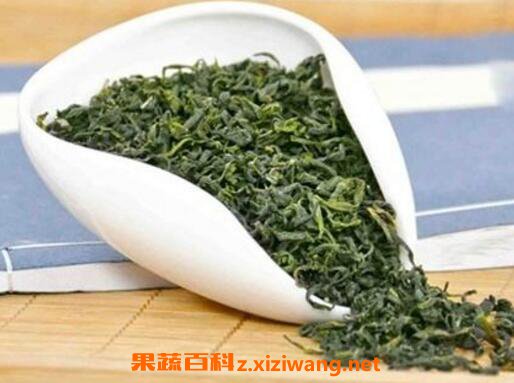 日照绿茶的功效与作用及禁忌