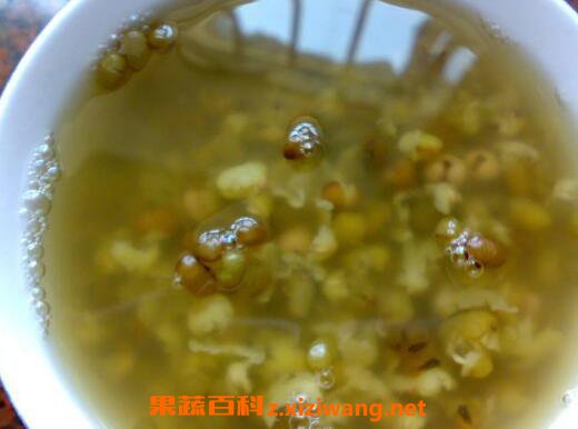 绿豆和什么一起煮最好 绿豆汤怎么煮最解毒