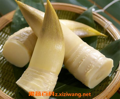 竹笋的营养价值