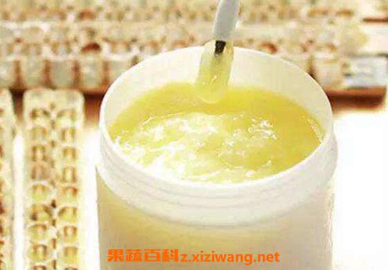 蜂王蜜的功效与作用