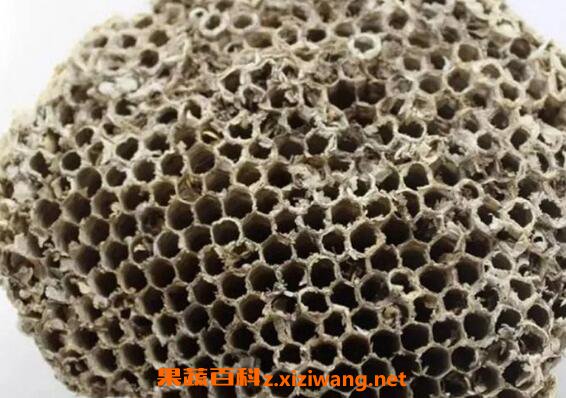 蜜蜂窝泡酒有什么功效 蜂窝泡酒的作用与功效