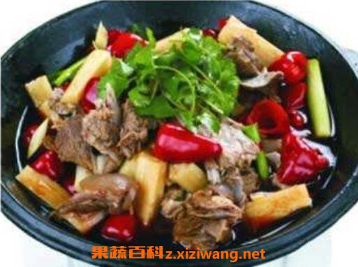 狗肉怎么做好吃 狗肉的家常做法