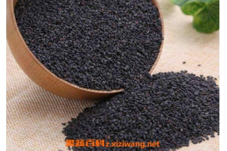 盐菟丝子的功效与作用 盐菟丝子的药用价值
