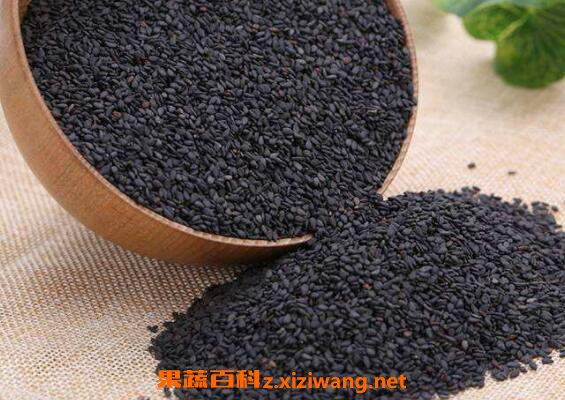 盐菟丝子的功效与作用 盐菟丝子的药用价值