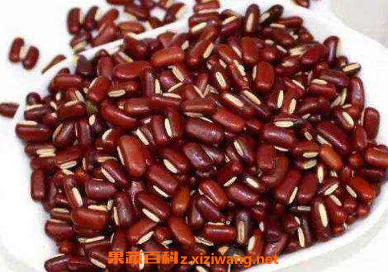 赤小豆的功效与作用及食用方法