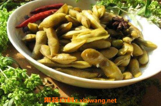 煮毛豆放什么调料窍门 水煮毛豆的做法窍门