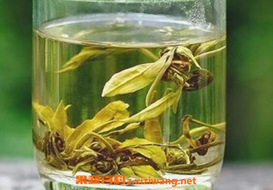茉莉茶如何制作晒干 茉莉茶怎么挑选