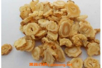 北沙参的功效与作用 北沙参的食用禁忌