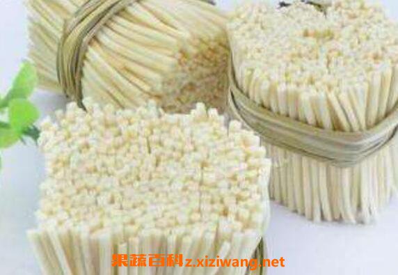 灯心草的功效与作用及食用方法