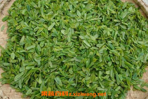 如何鉴别六安瓜片茶叶的好坏