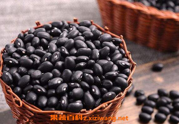 黑豆怎么吃黑发 黑豆怎么吃对白发好