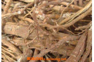 芫花根的功效与作用及药用价值