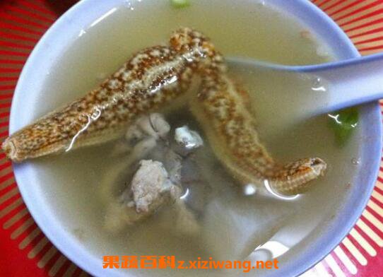 海星煲汤的做法与功效