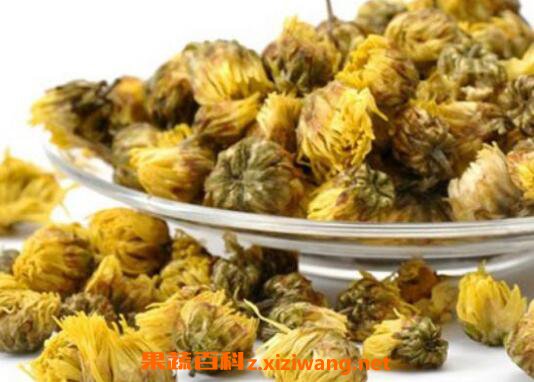 胎菊的功效与作用
