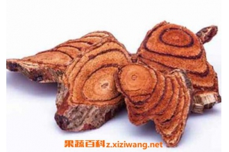 血参的功效与作用及药用价值