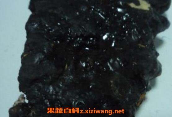 猴结的功效与作用及药用价值