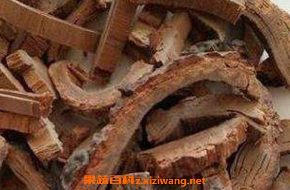 木棉皮的功效和作用 木棉皮的常见用法