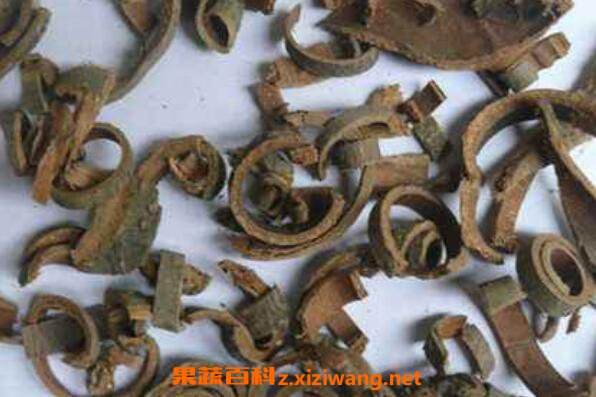 木棉皮的功效和作用 木棉皮的常见用法