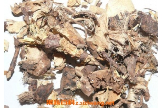 金雀根的功效与作用 金雀根的常见用法