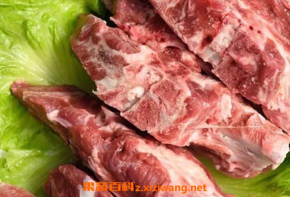 狗的脊骨的功效与作用