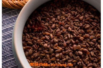 黄苦荞茶的功效与作用 黄苦荞茶的正确喝法
