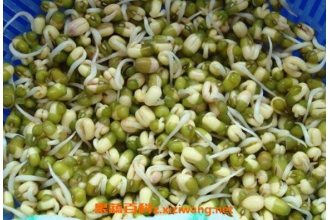 绿豆芽怎么发 发绿豆芽的方法技巧