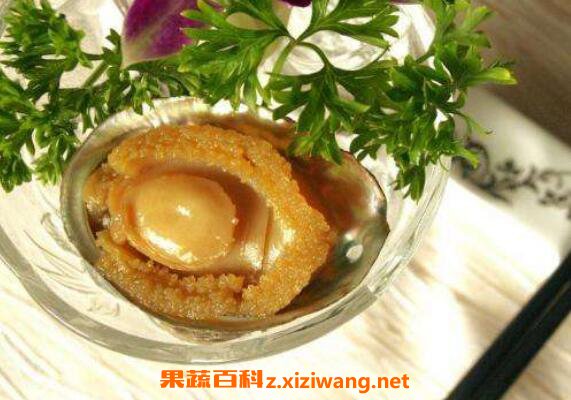 鲍鱼的营养价值及功效与作用