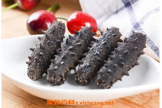 海参的功效与作用 吃海参的好处