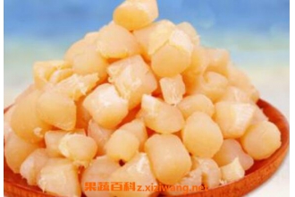瑶柱的功效与作用 吃瑶柱的好处