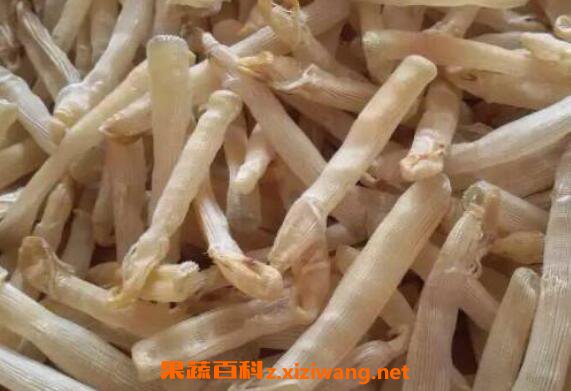 沙虫干的功效与作用