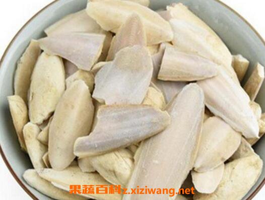 墨鱼骨的功效与作用