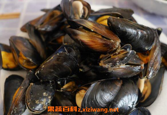 海虹怎么吃 海虹的家常做法