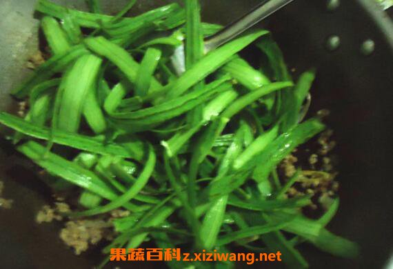 丝瓜皮的功效与作用