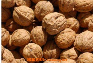 增强记忆力的食物有哪些 记忆力不好吃什么食物