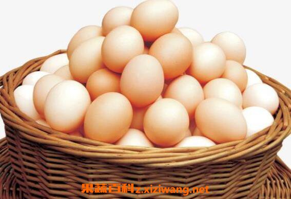 雌性激素食物有哪些 雌性激素高的食物排行
