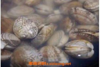 花甲沙子怎么洗干净 花甲怎么去沙