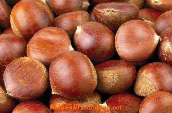 水煮生栗子怎么做好吃