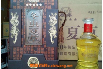虫草酒怎么泡 虫草酒的功效与作用