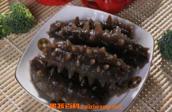 干海参怎么吃 干海参的做法与吃法